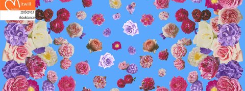 2206 Roses double border