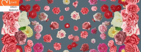 2206 Roses double border