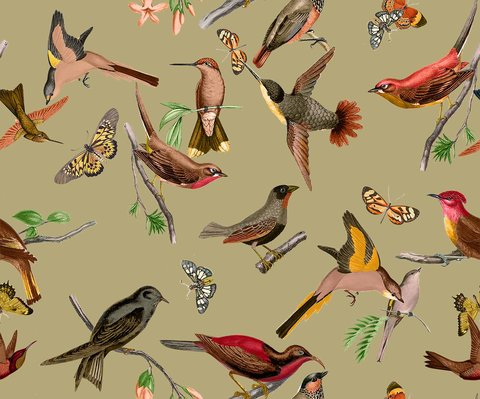 Aviary