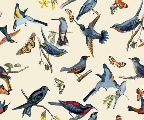 Aviary