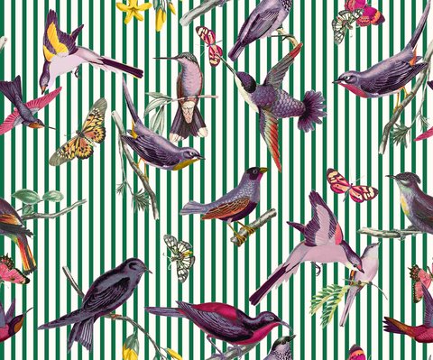 Aviary