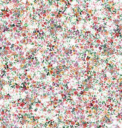 Blossom Field