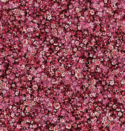 Blossom Field