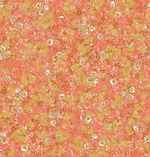 Blossom Field