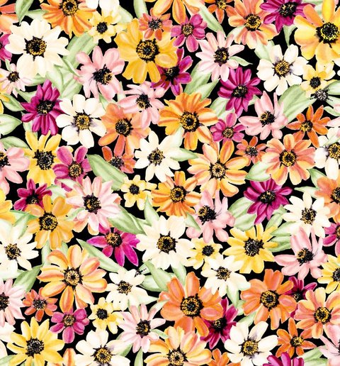 Zinnia Burst