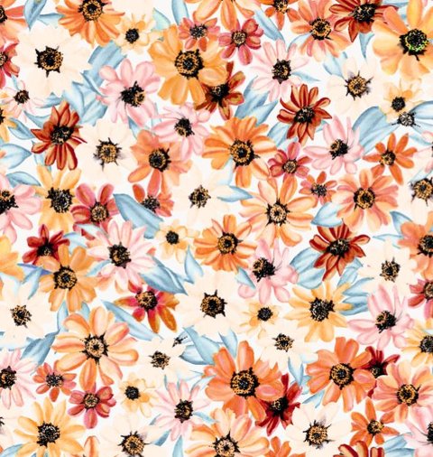 Zinnia Burst