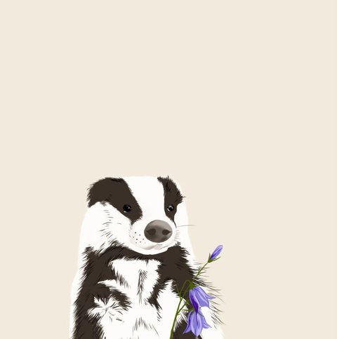 Badger Bloom
