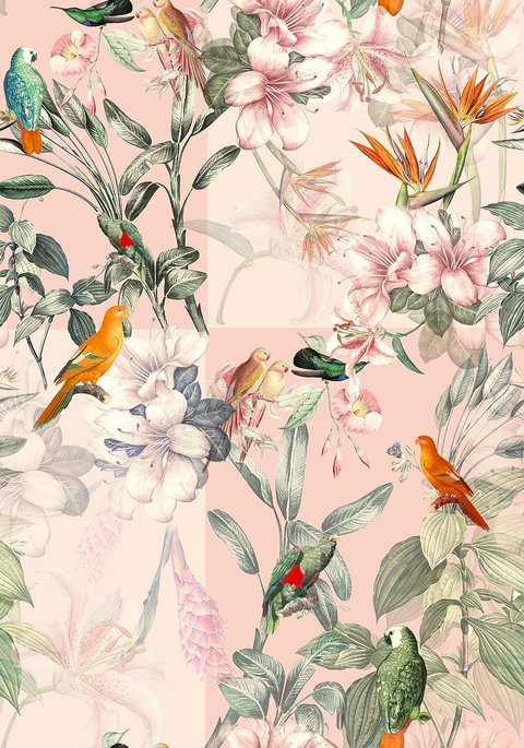 Aviary Bloom