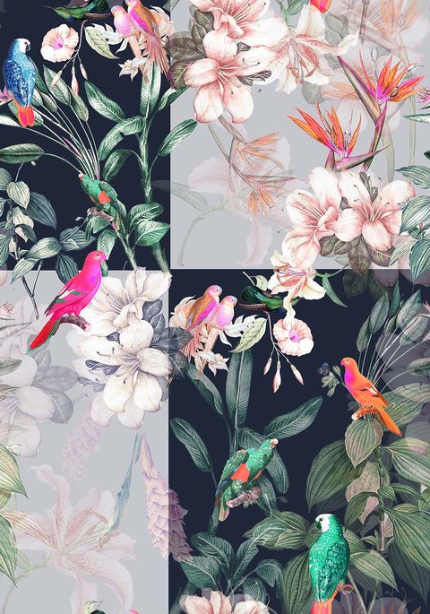 Aviary Bloom