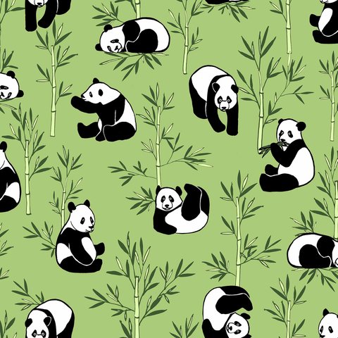 Bamboo Grove