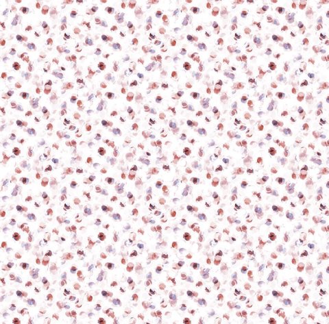 Berry Mist