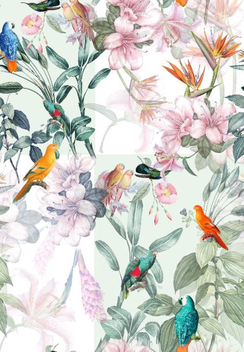 Aviary Bloom