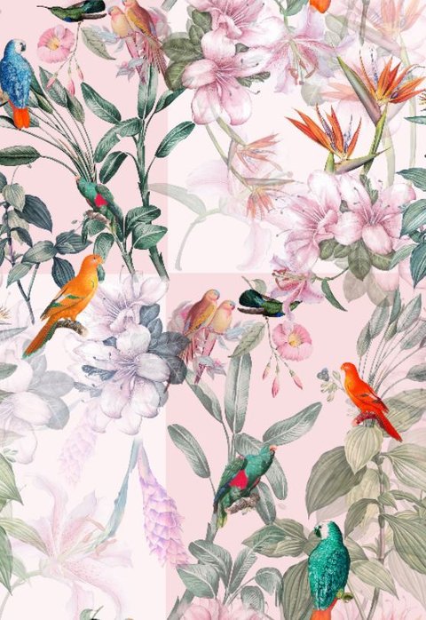 Aviary Bloom
