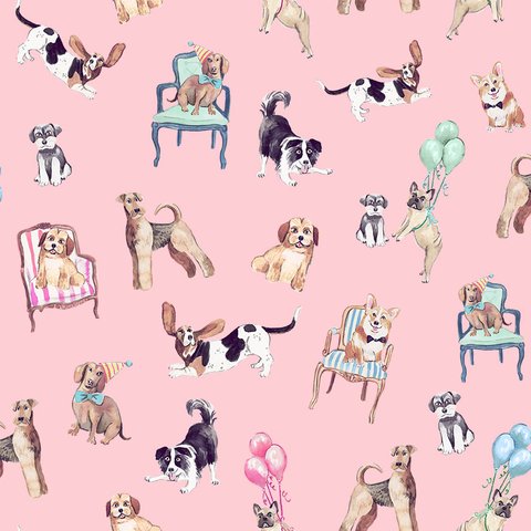 Fetch & Frolic