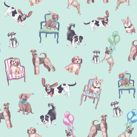 Fetch & Frolic