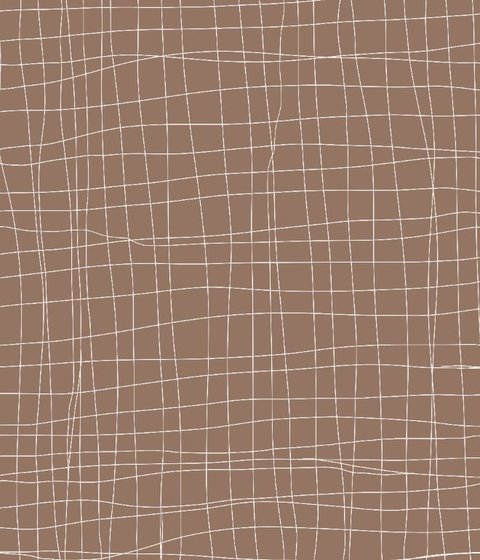Wrinkled Net