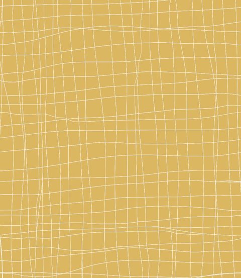 Wrinkled Net