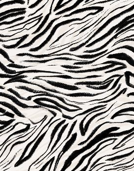 zebra graphic design