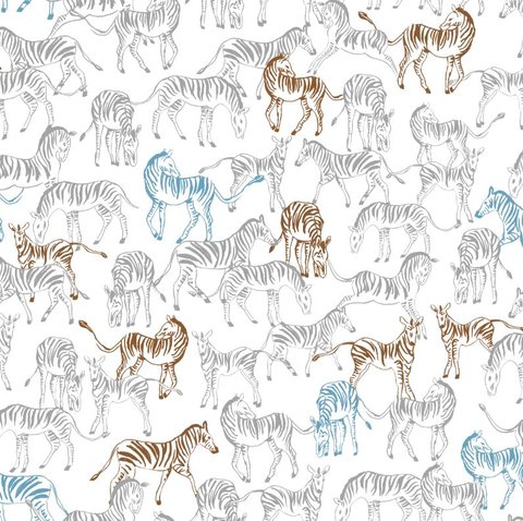 Zebra Drift