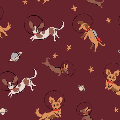 Astro Pups