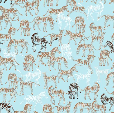 Zebra Drift