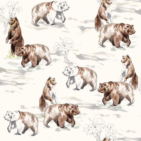 Bear Country
