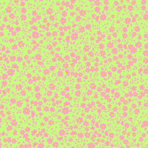 Blossom Field