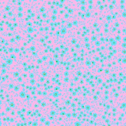 Blossom Field