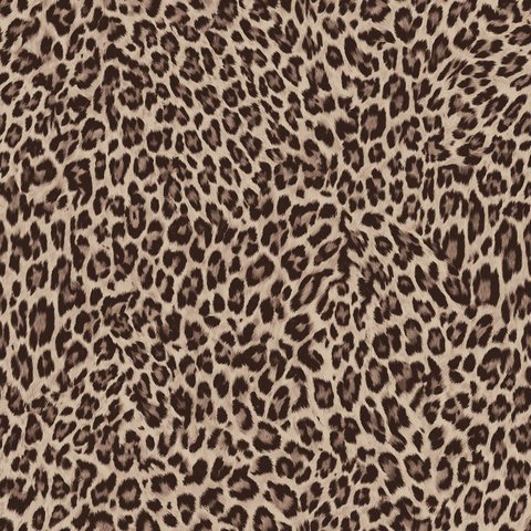 Big Cat