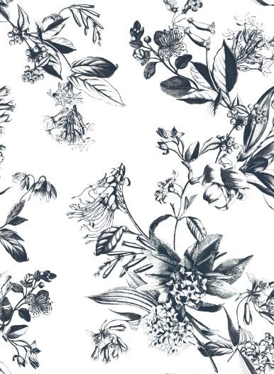 Ink Garden